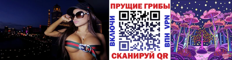 сколько стоит Апшеронск Псилоцибиновые грибы ЛСД